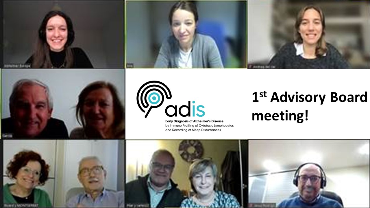 Advisory Board of the ADIS project meets for its first consultation